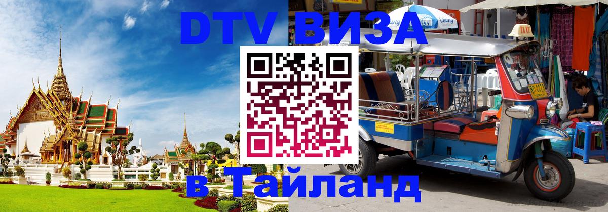 Оформление DTV визы под ключ: стоимость и тарифы, только загранпаспорт - Тирана  03.10.2025 